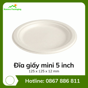 Đĩa giấy mini 5 inch