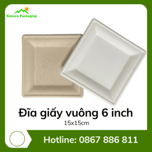 Đĩa giấy vuông 6 inch 15x15cm