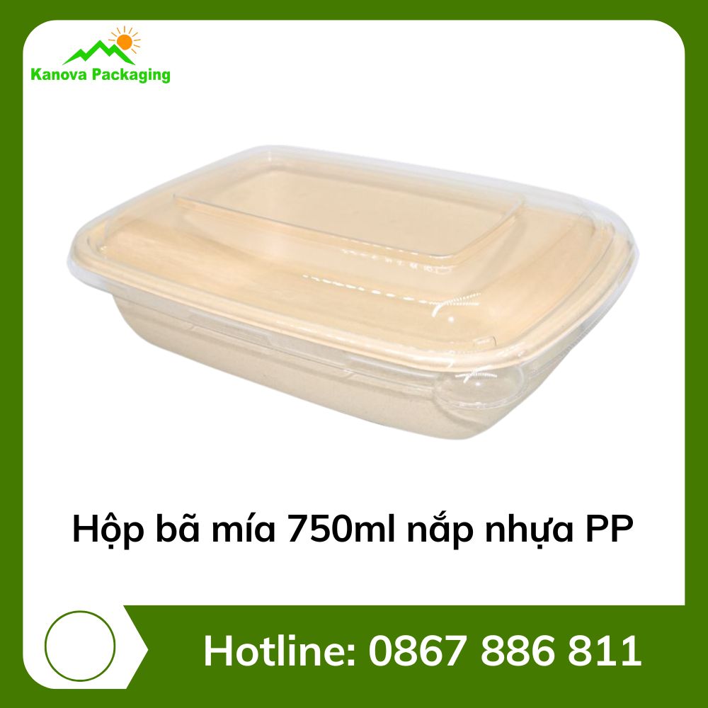 hop-ba-mia-750ml-nap-nhua-pp Hộp bã mía 750ml nắp nhựa PP