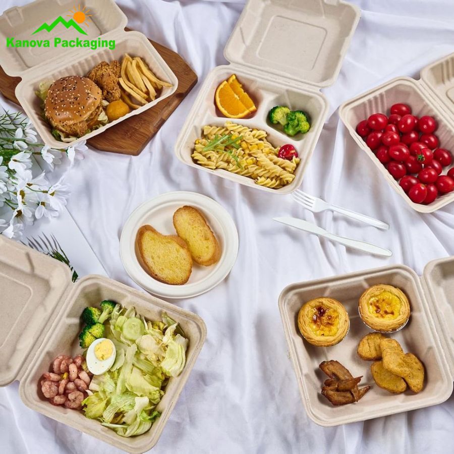 Hộp bã mía đẹp 10