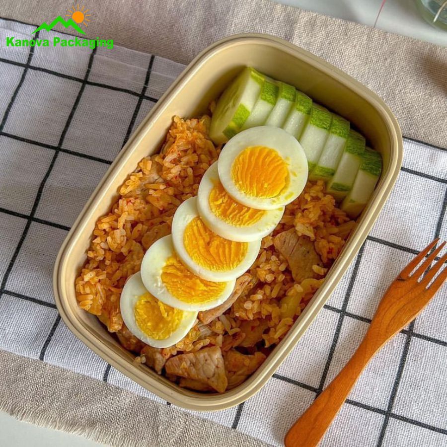 Hộp bã mía đẹp 13