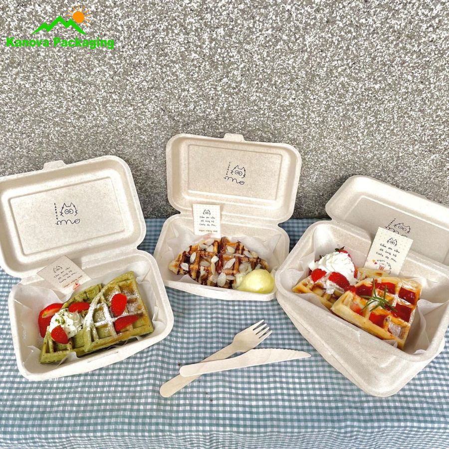 Hộp bã mía đẹp 14