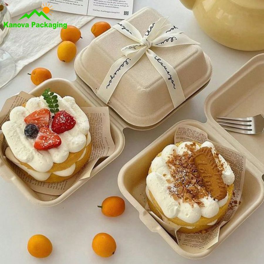 Hộp bã mía đẹp 3