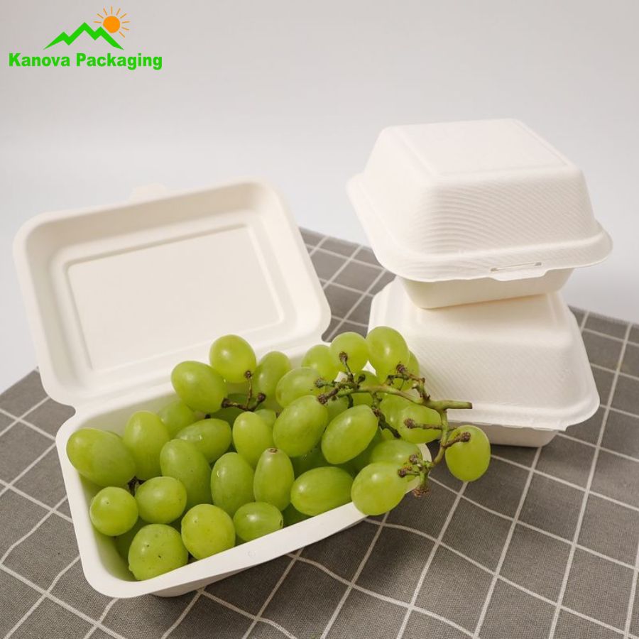 Hộp bã mía đẹp 32
