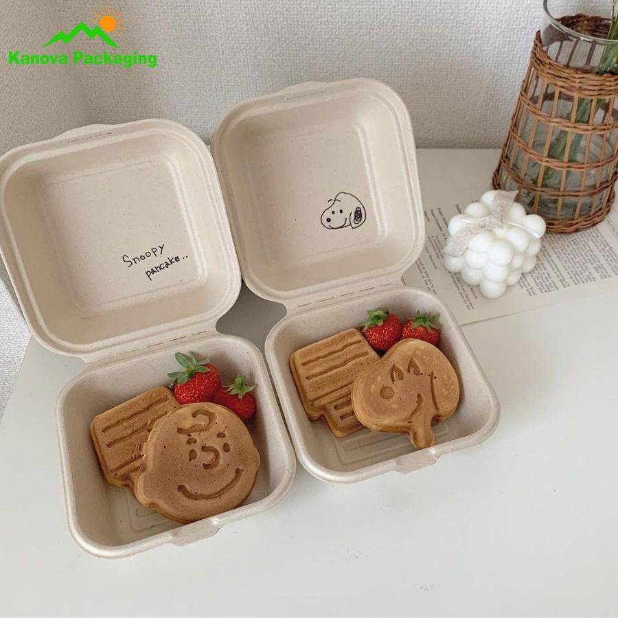 Hộp bã mía đẹp 35