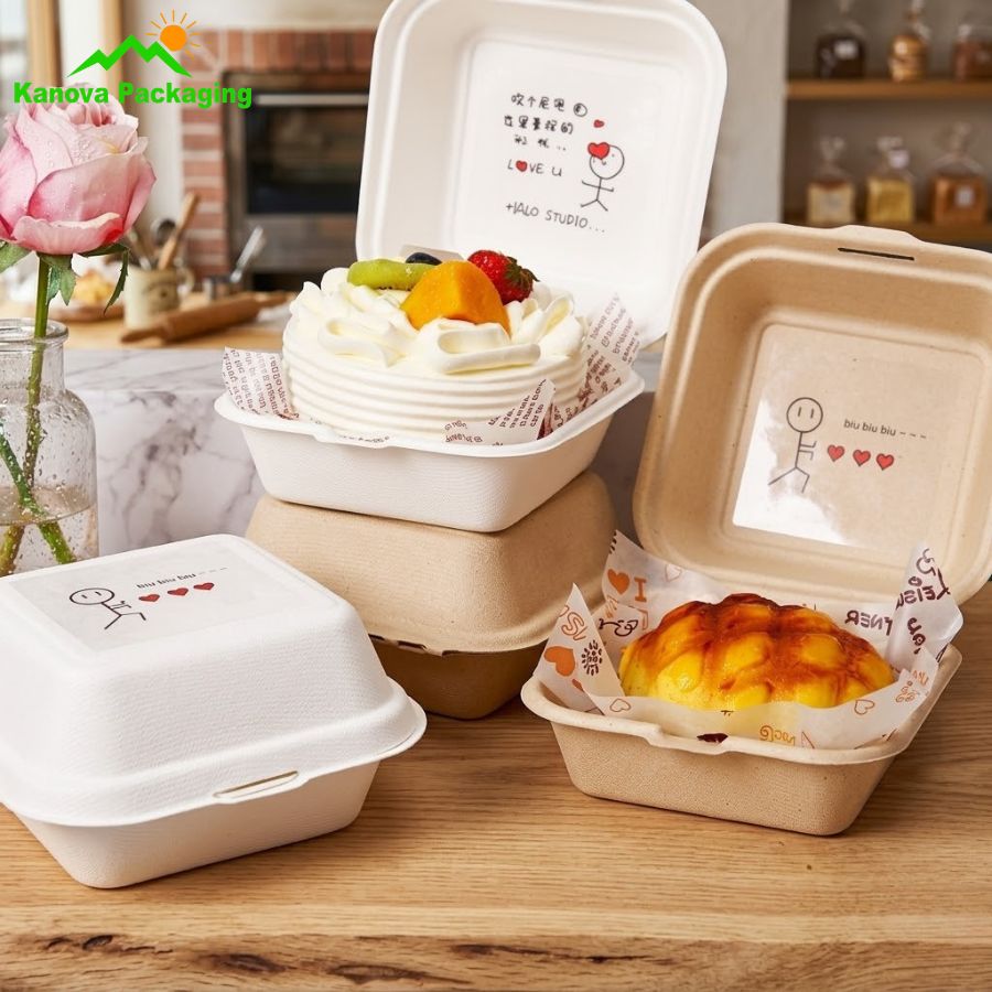 Hộp bã mía đẹp 6