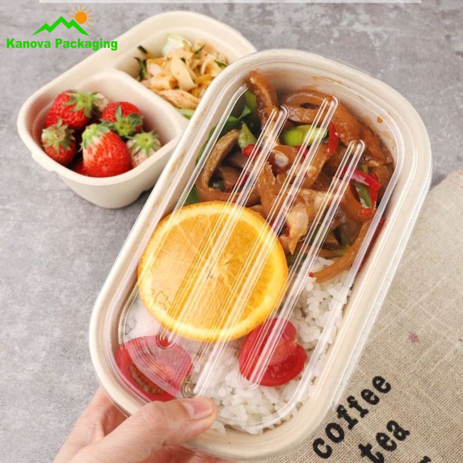 Hộp bã mía đẹp 7