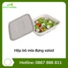 Hộp bã mía đựng salad