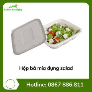 Hộp bã mía đựng salad