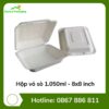 Hộp vỏ sò 1.050ml - 8x8 inch