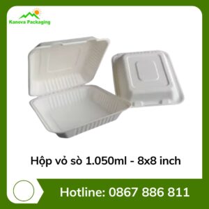 Hộp vỏ sò 1.050ml - 8x8 inch