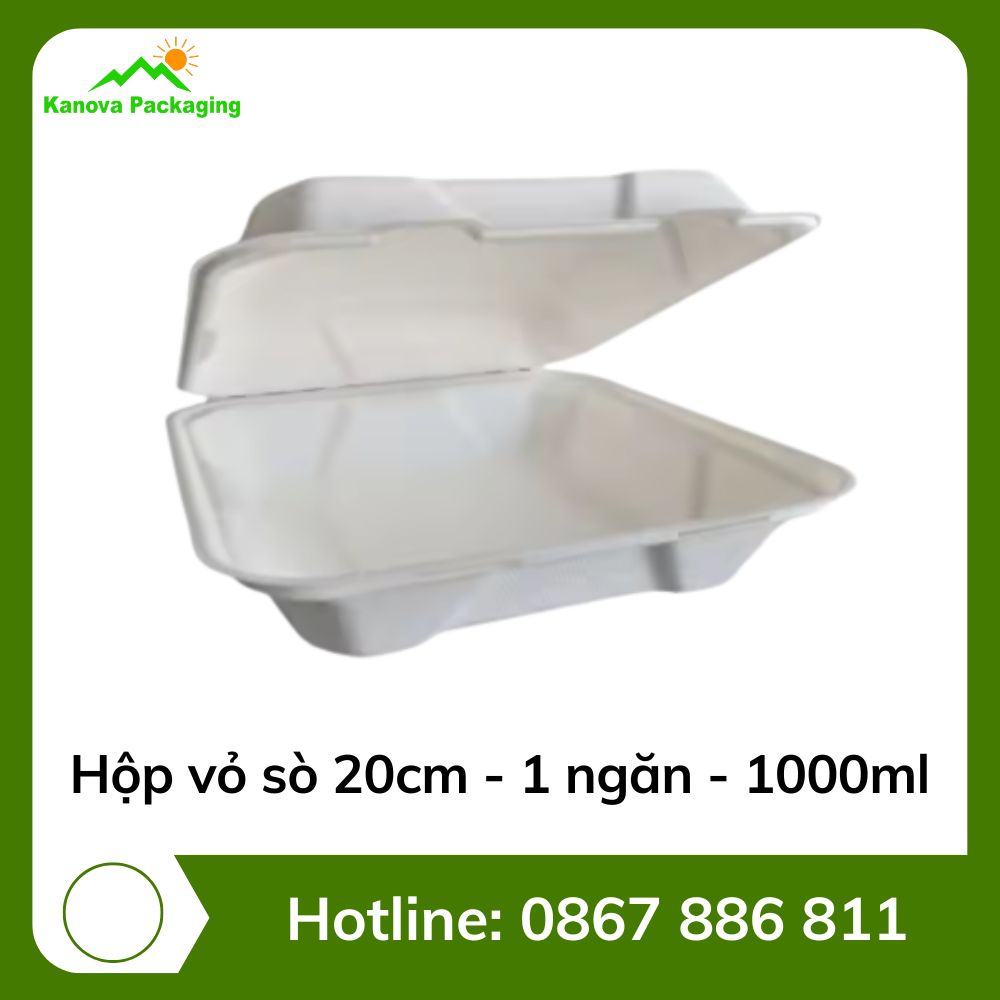 hop-vo-so-20cm-1-ngan-1000ml Hộp vỏ sò 20cm - 1 ngăn - 1000ml