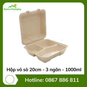 Hộp vỏ sò 20cm - 3 ngăn - 1000ml