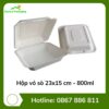 Hộp vỏ sò 23x15 cm - 800ml
