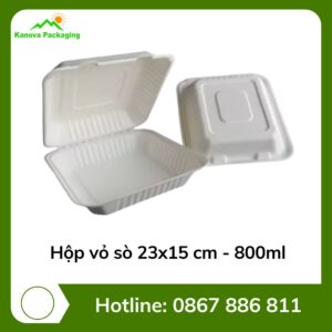 Hộp vỏ sò 23x15 cm - 800ml