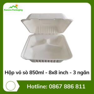 Hộp vỏ sò 850ml - 8x8 inch - 3 ngăn