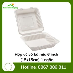 Hộp vỏ sò bã mía 6 inch - 15x15cm - 1 ngăn