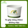 Tô giấy trắng 250ml (không nắp)