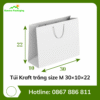 Túi Kraft trắng size M 30×10×22
