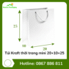 Túi Kraft thời trang mini 20×10×25