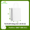 Túi Kraft trắng trơn 16×8×22