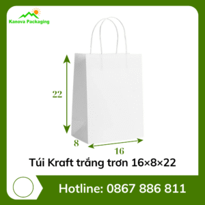 Túi Kraft trắng trơn 16×8×22